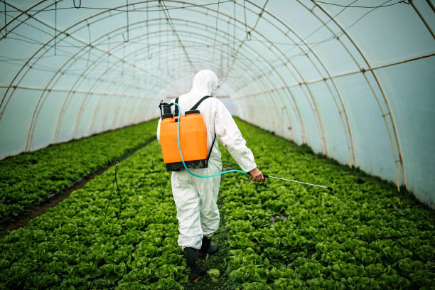 Reliable Coosada, AL Pest Control Solutions