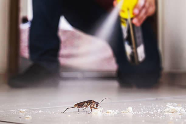 Best Pest Removal Services  in Coosada, AL